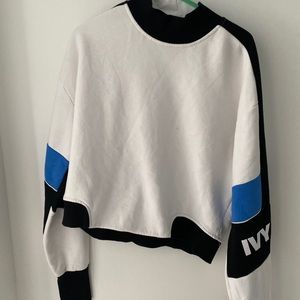 Ivy park color block hoodie!